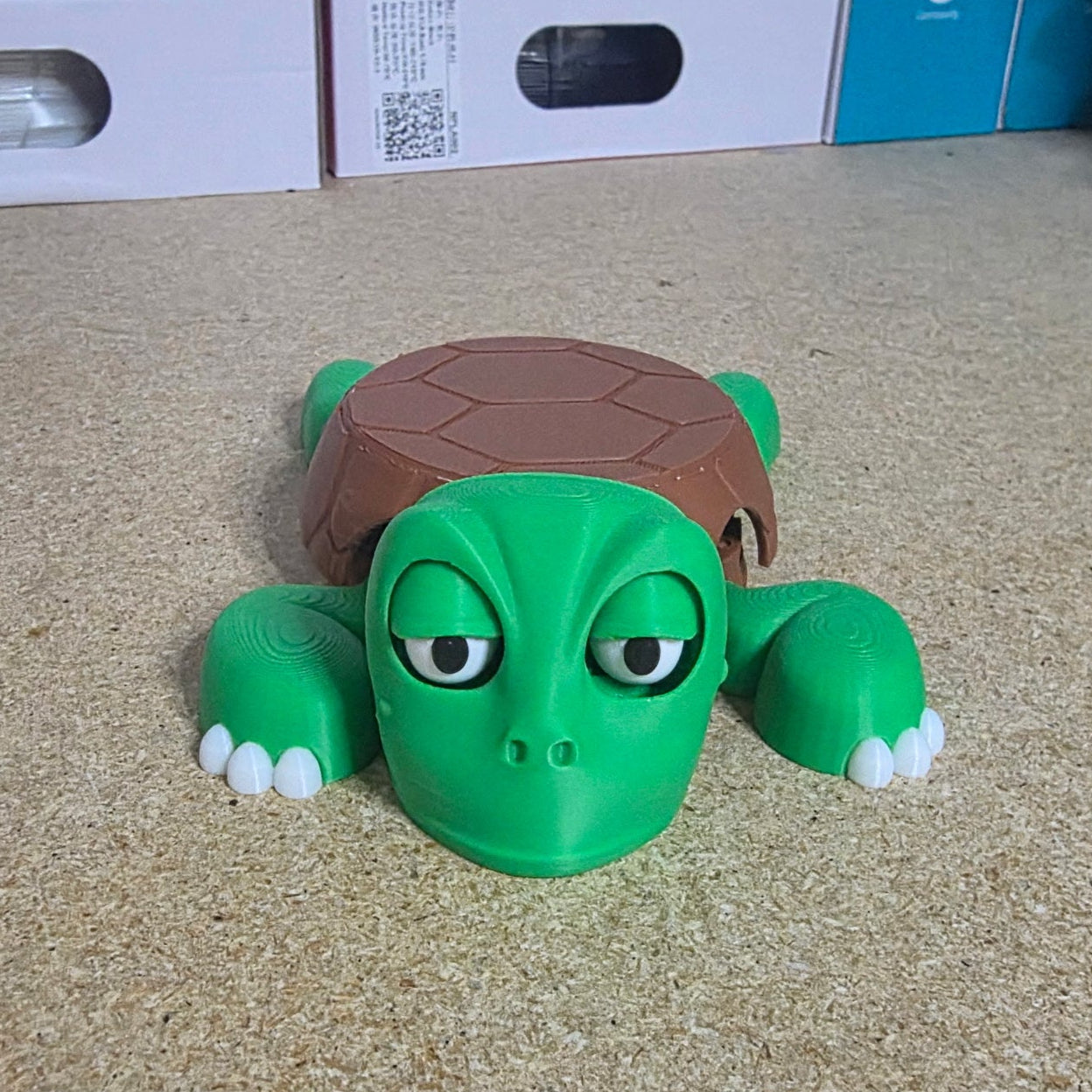 Turtle Coaster