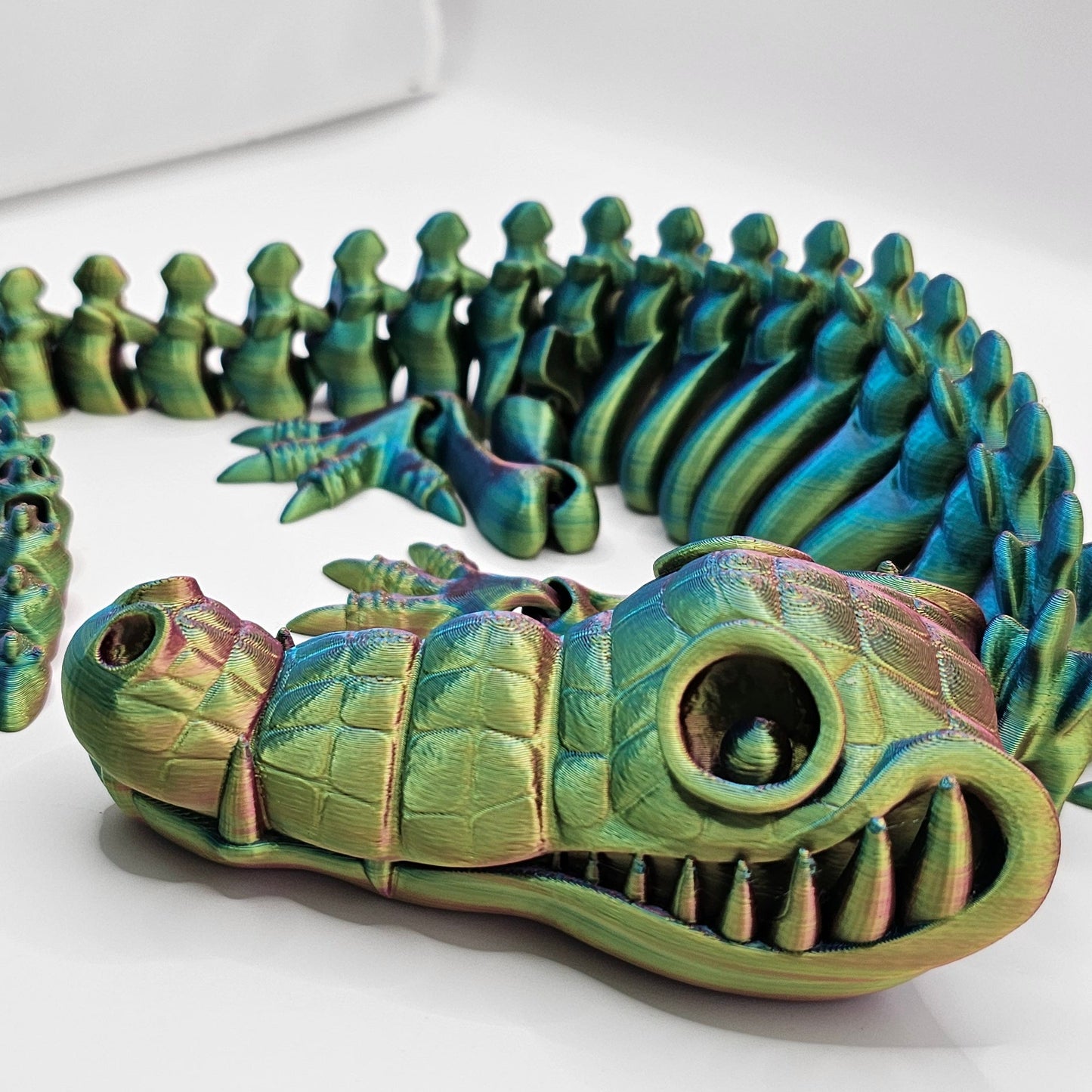 Crocodile Skeleton