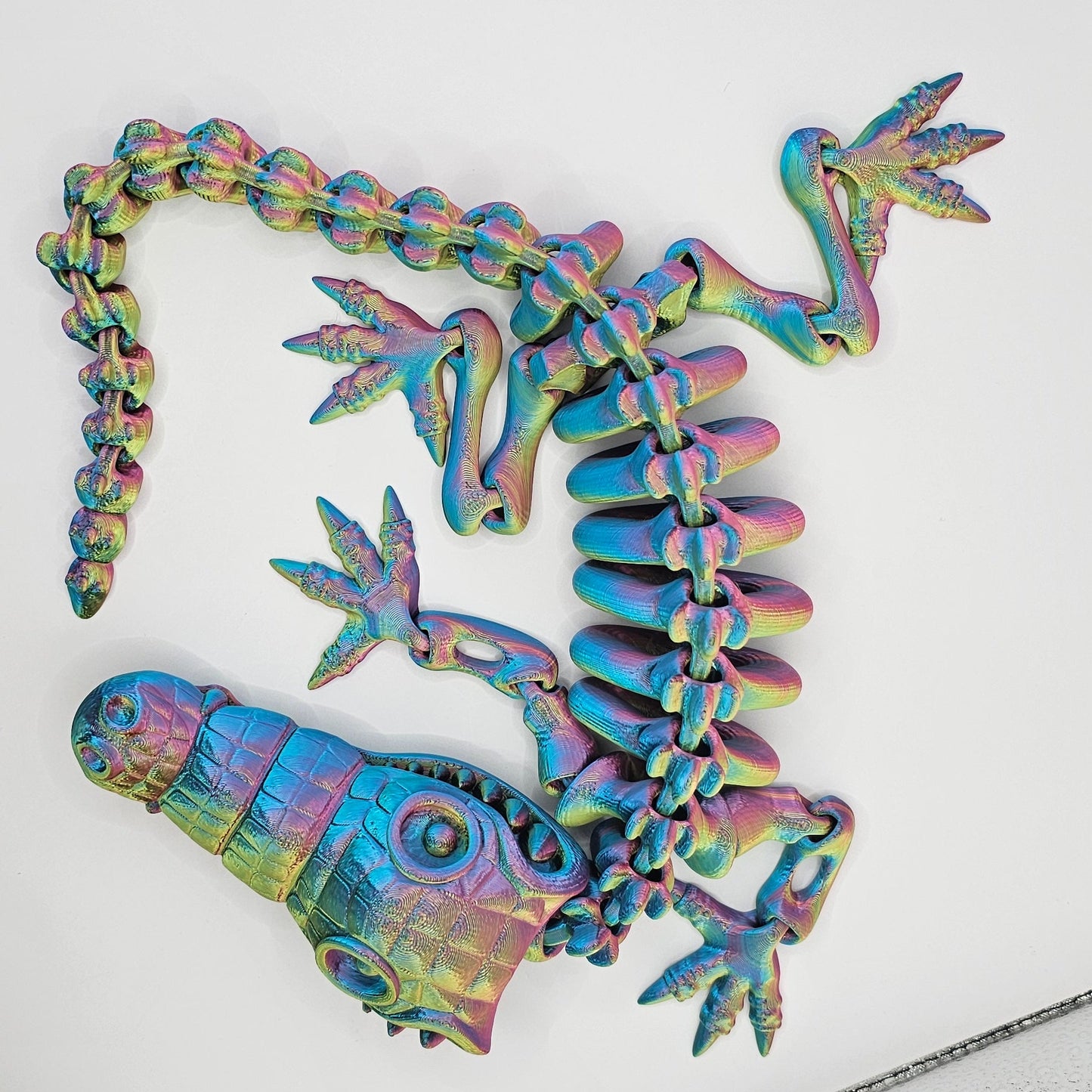 Crocodile Skeleton
