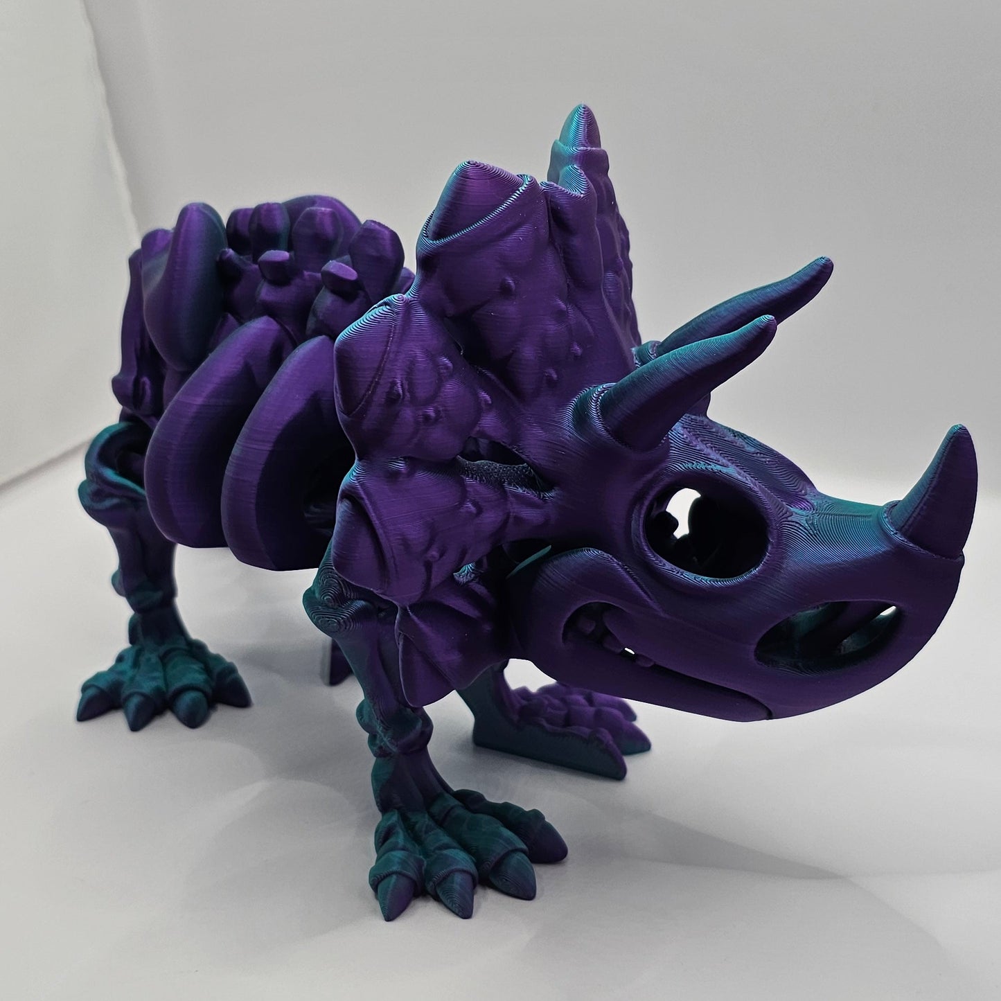 Medium Skeleton Triceratops