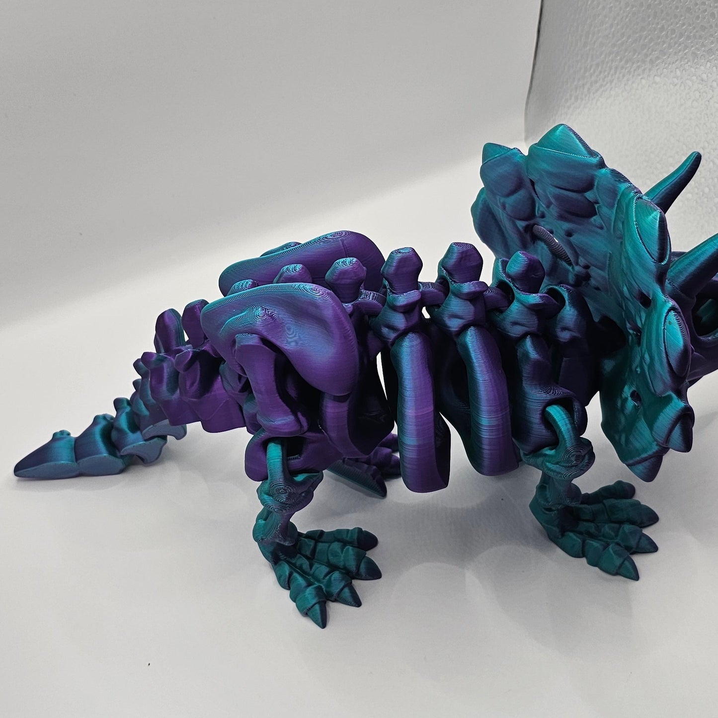 Medium Skeleton Triceratops