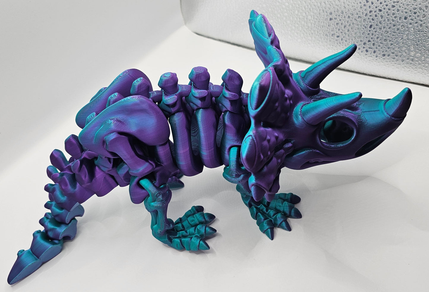 Medium Skeleton Triceratops