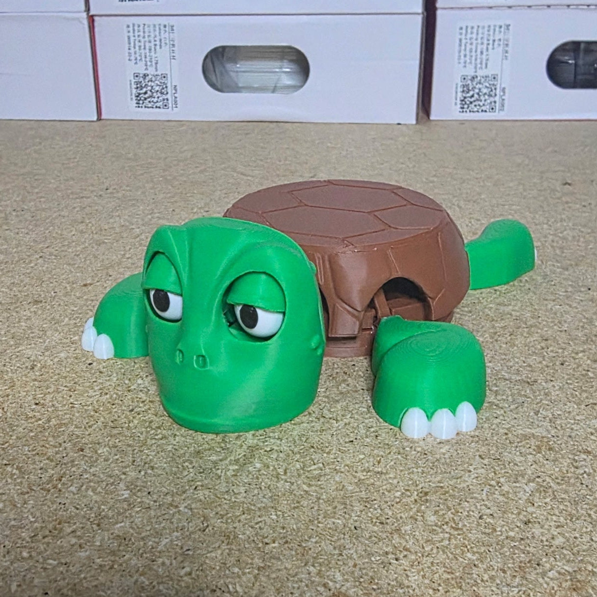 Turtle Coaster