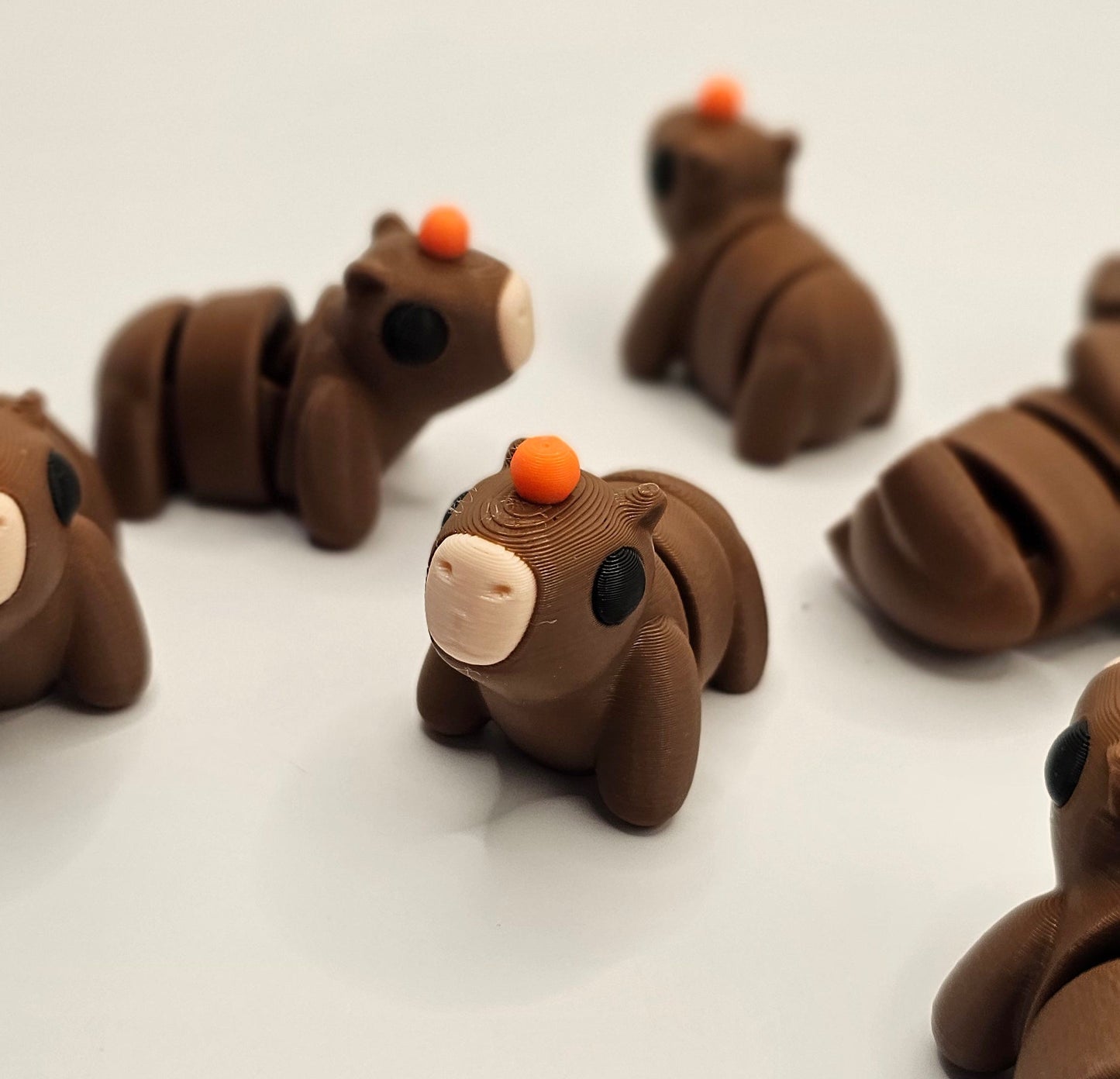 Cute Capybara