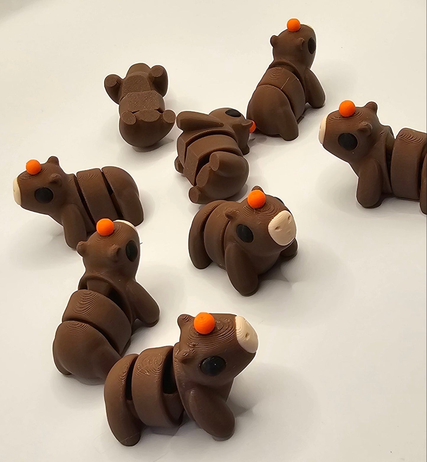 Cute Capybara