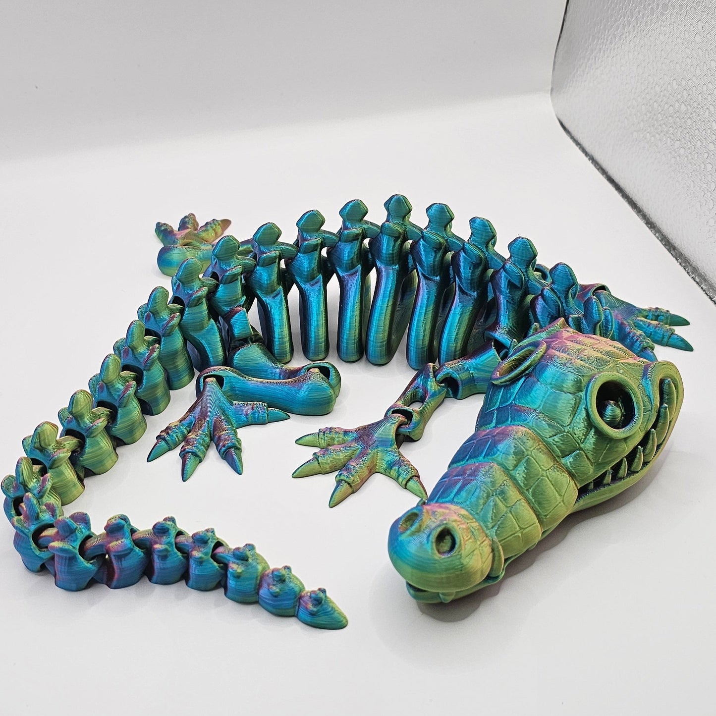 Crocodile Skeleton
