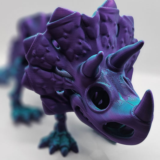 Medium Skeleton Triceratops