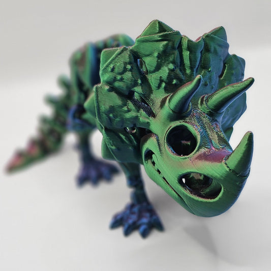 Small Skeleton Triceratops