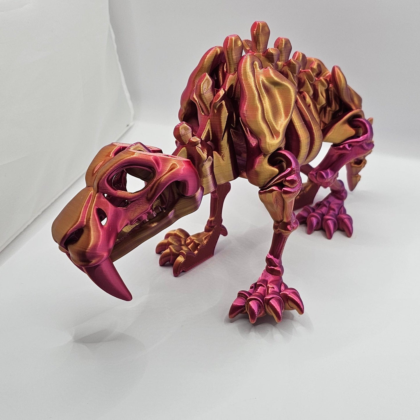 Medium Sabertooth Tiger