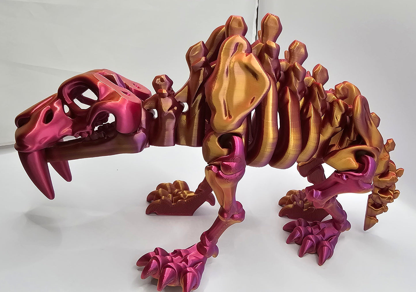 Medium Sabertooth Tiger
