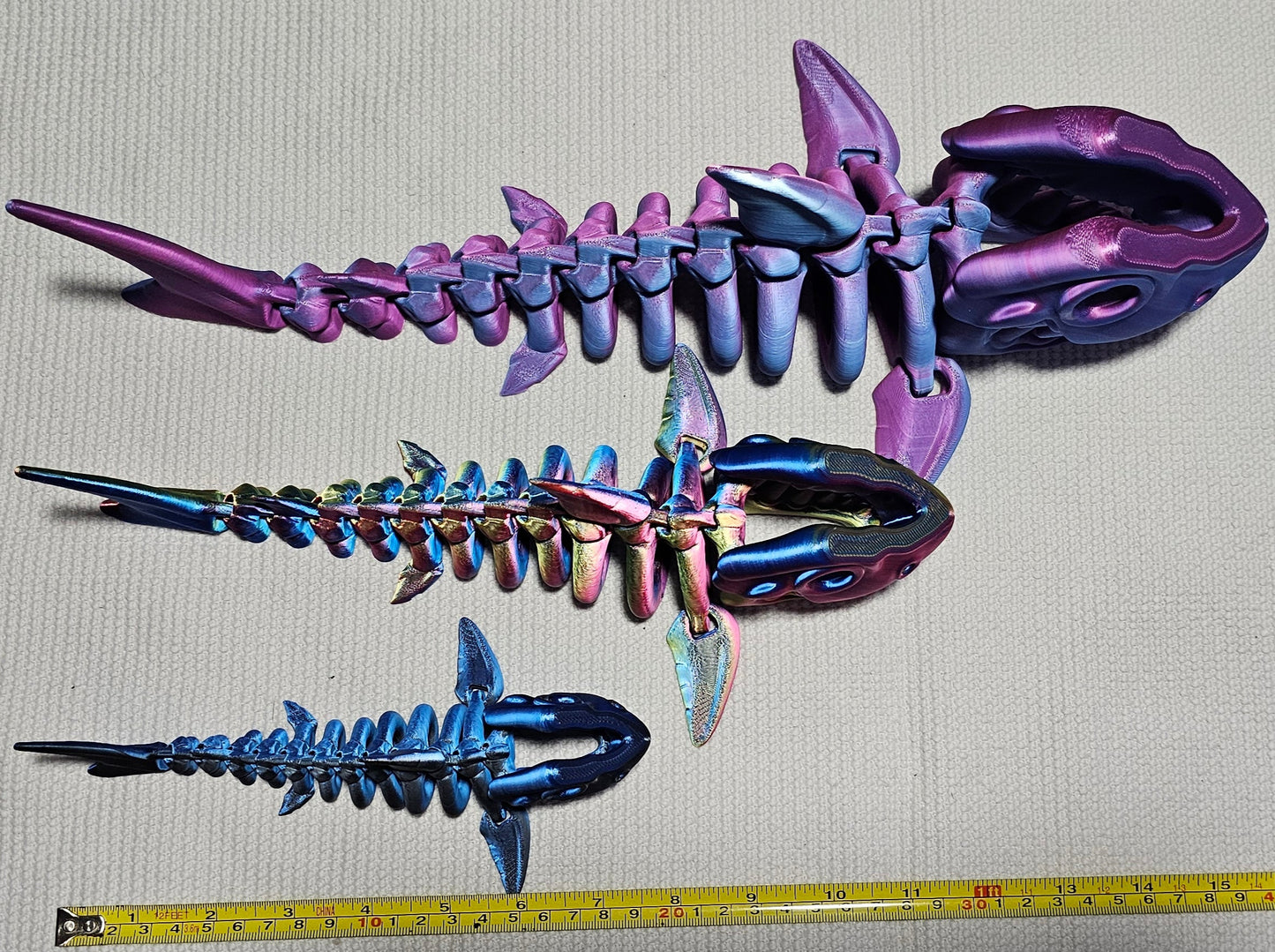 Shark Skeleton - Large