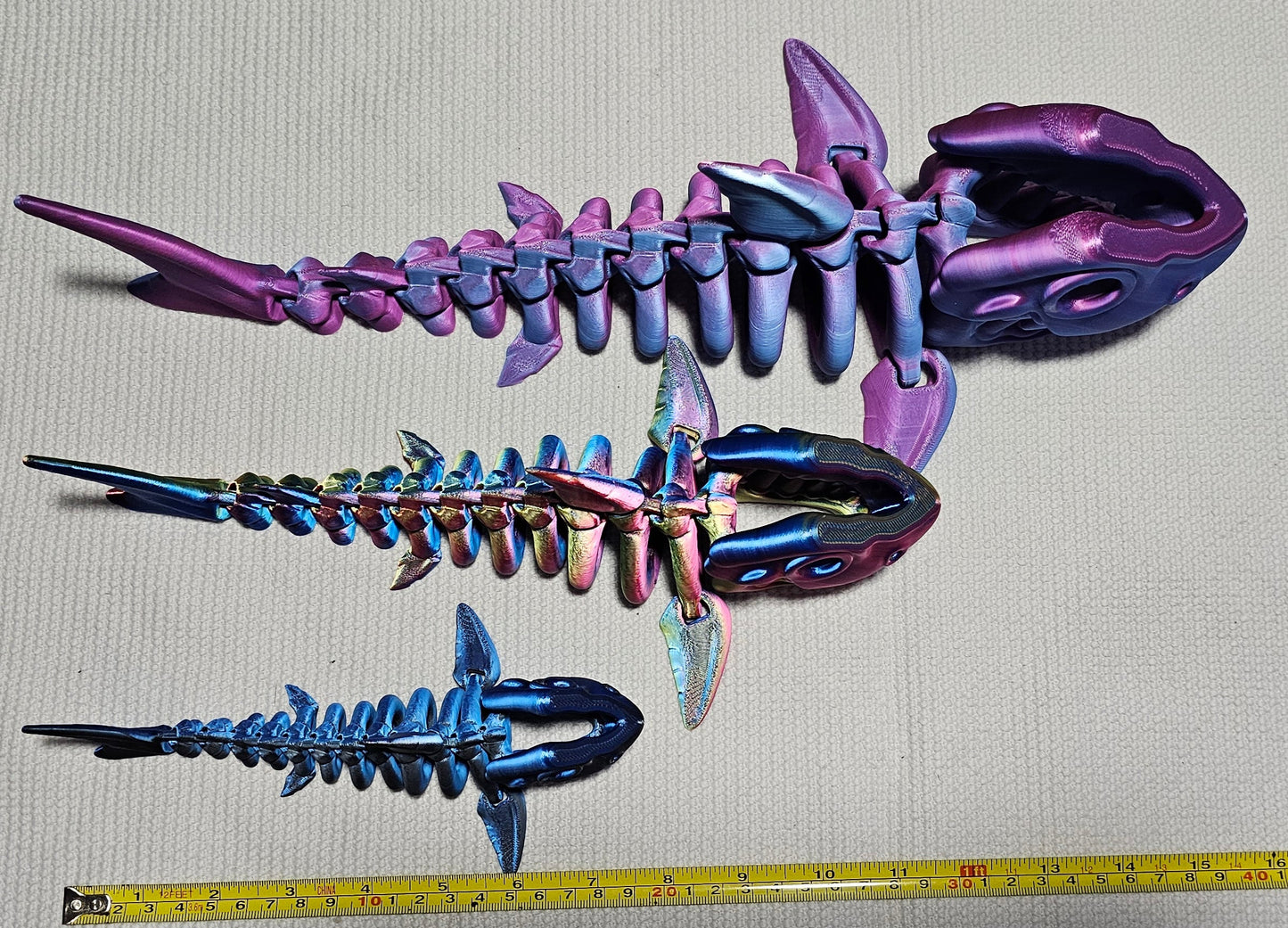 Shark Skeleton - Small