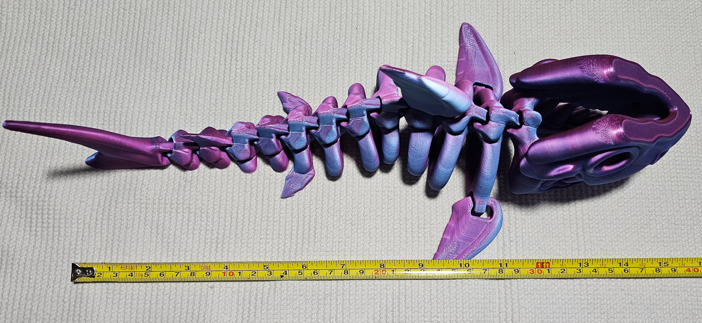 Shark Skeleton - Large
