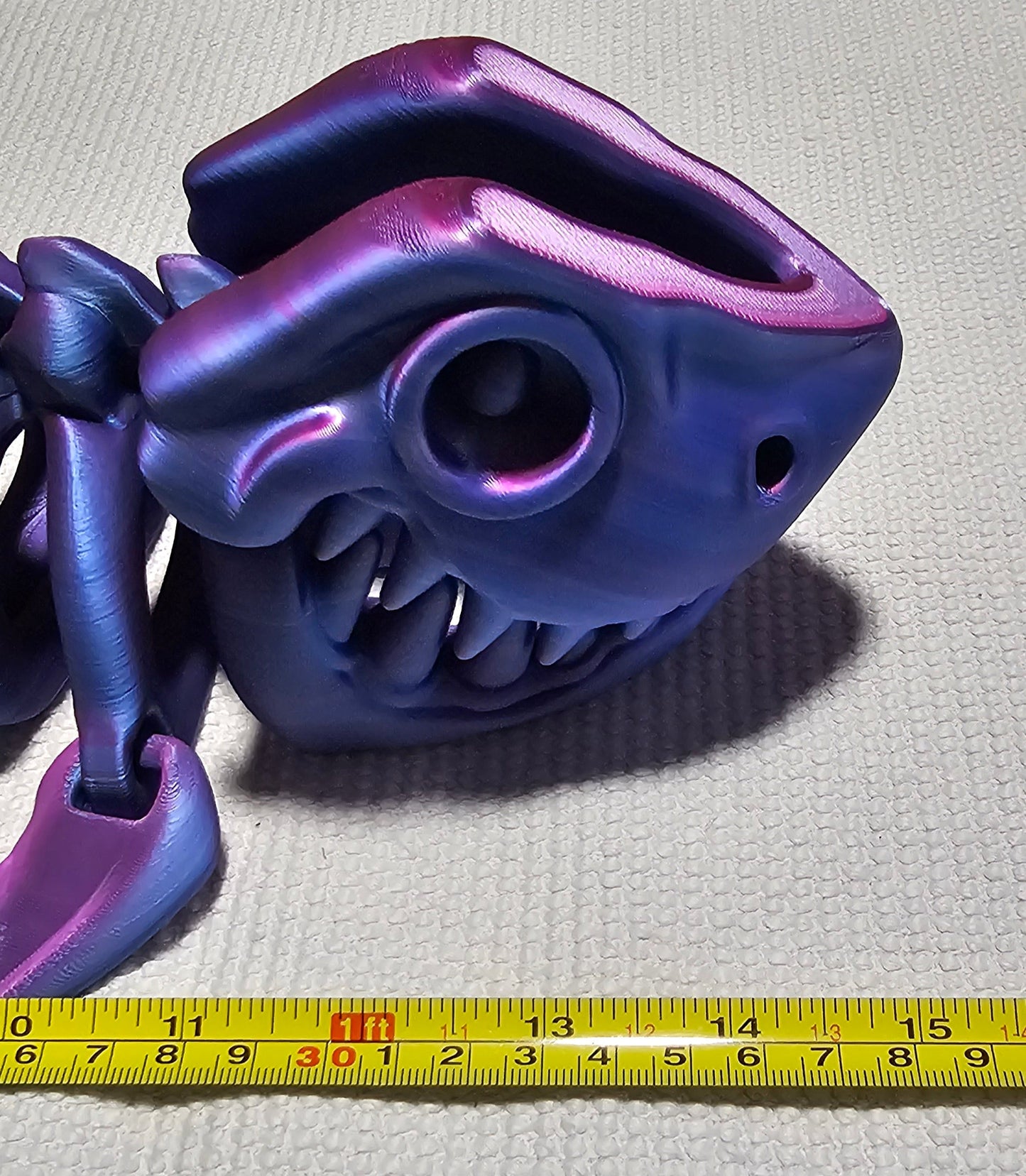 Shark Skeleton - Large