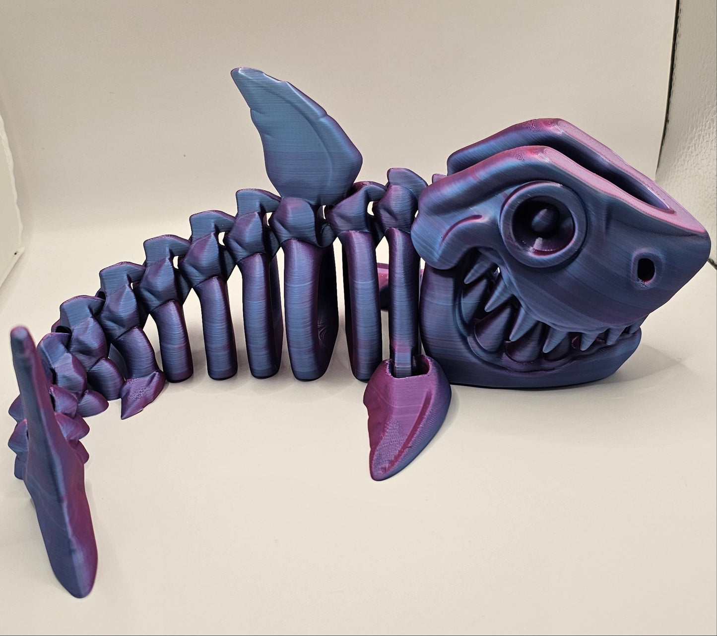 Shark Skeleton - Large