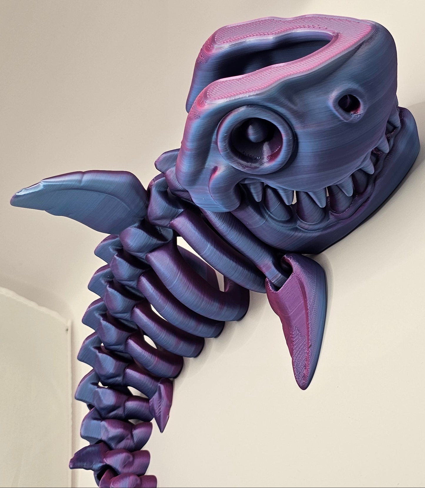 Shark Skeleton - Large