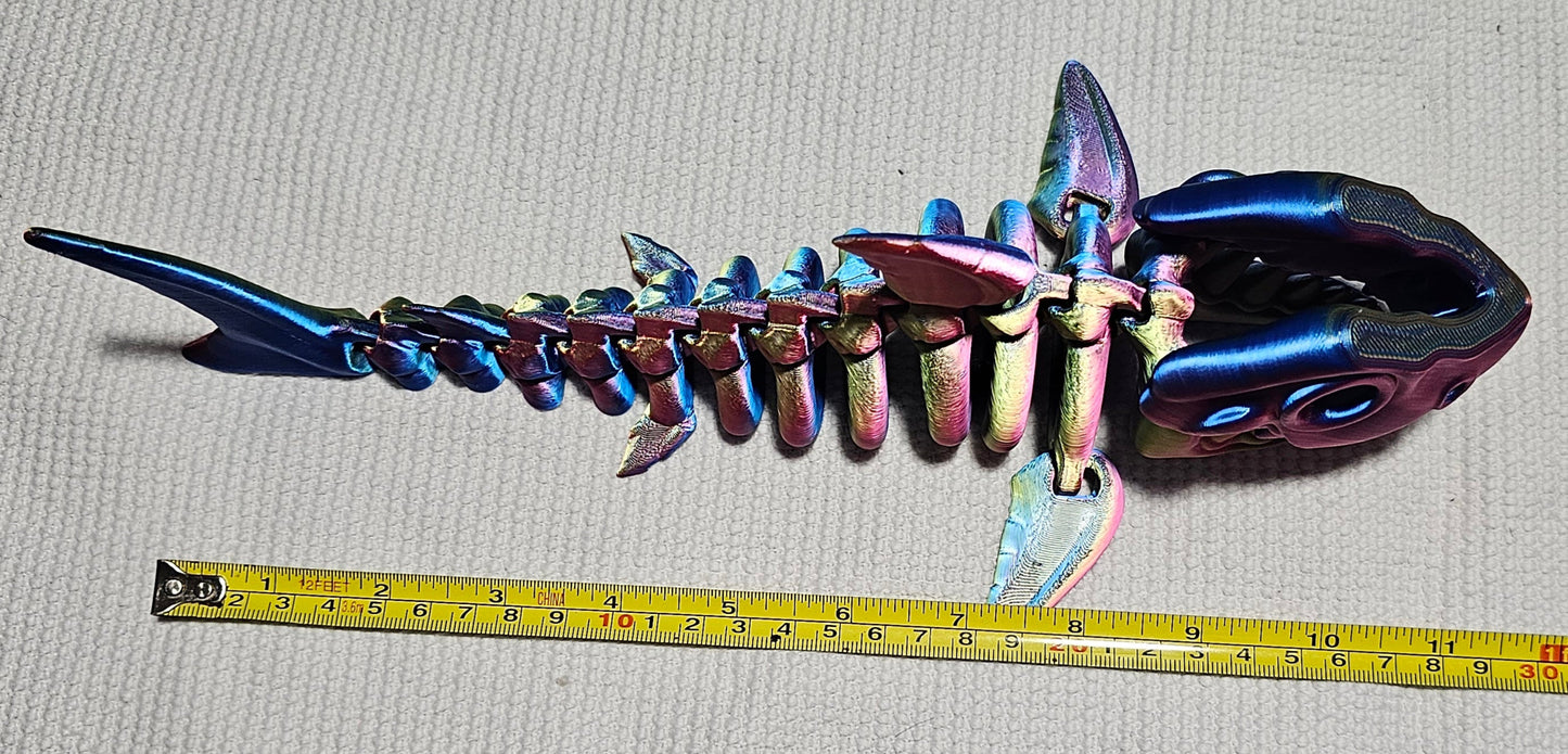 Shark Skeleton - Medium