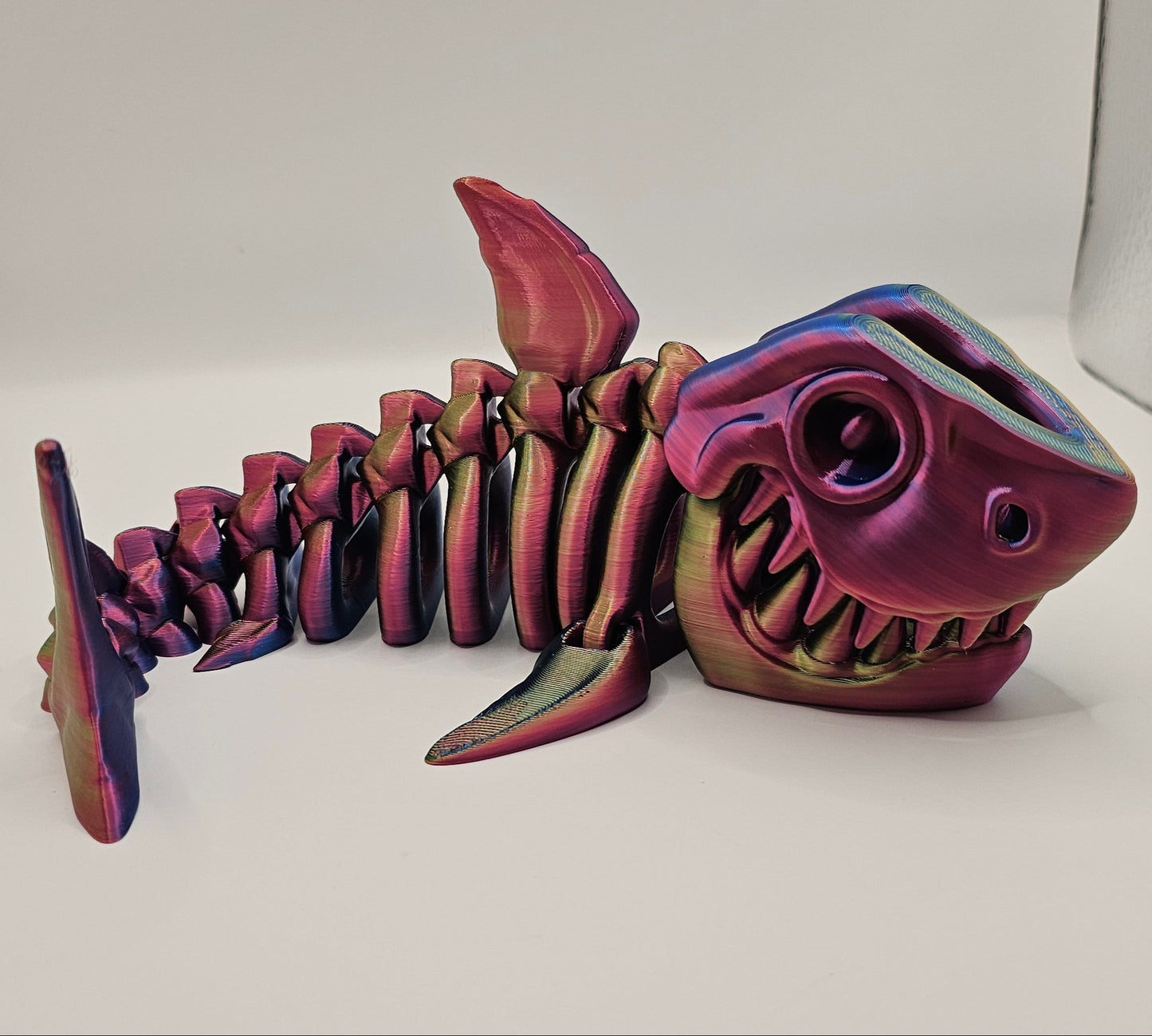 Shark Skeleton - Medium