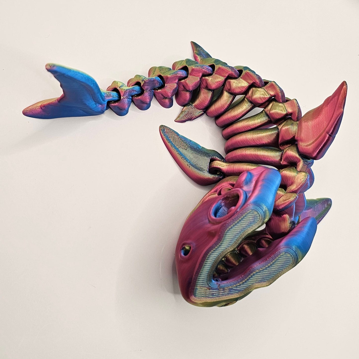 Shark Skeleton - Medium
