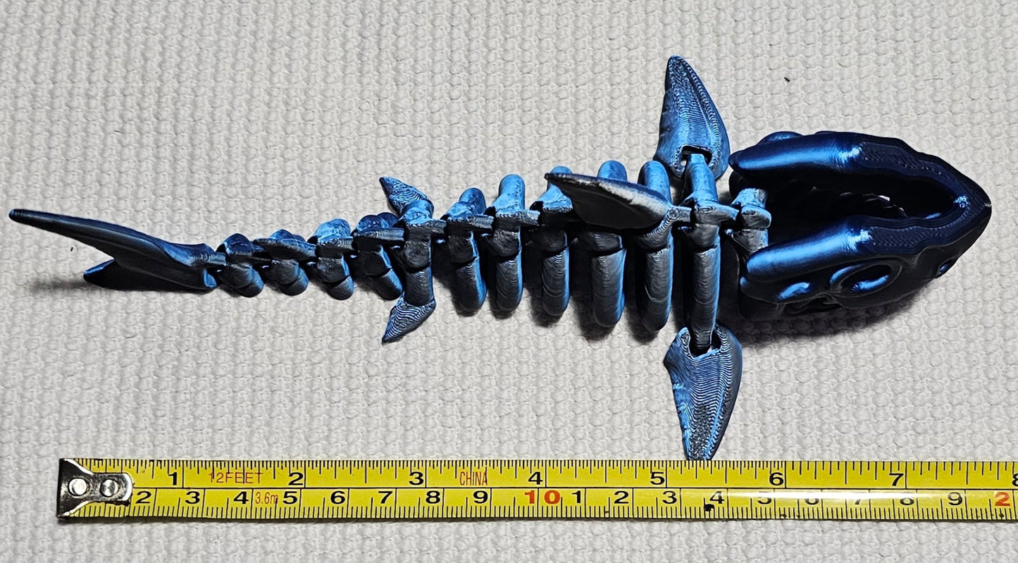 Shark Skeleton - Small