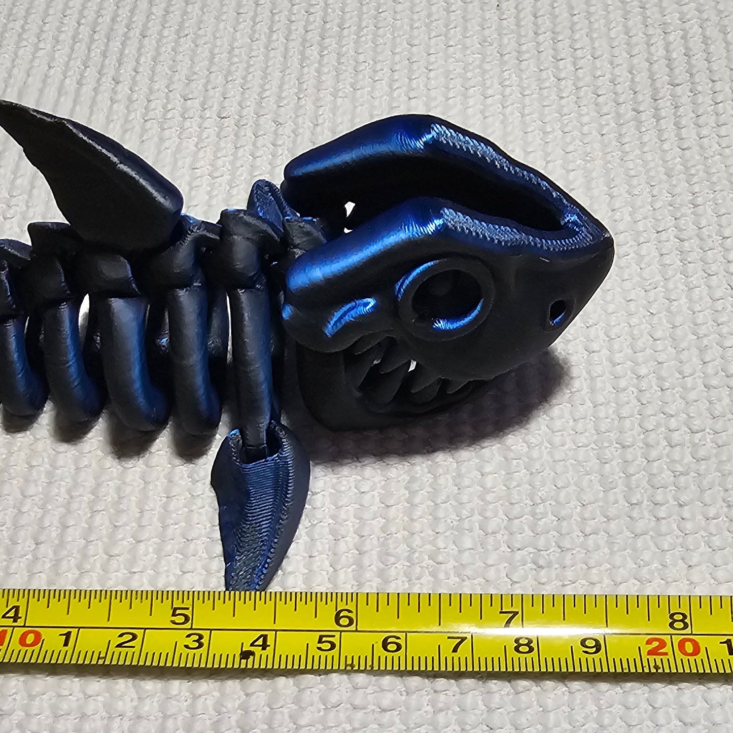 Shark Skeleton - Small