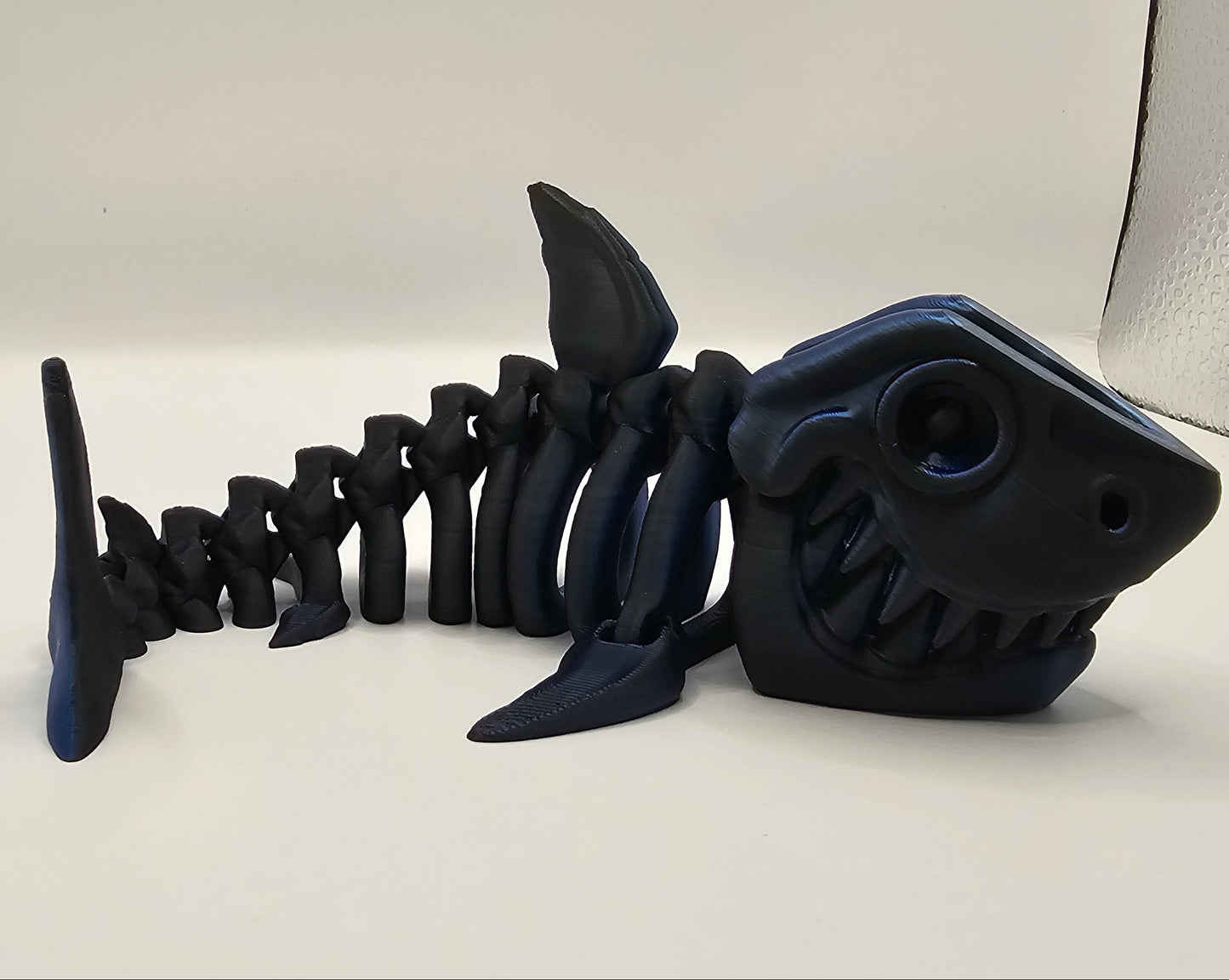Shark Skeleton - Small