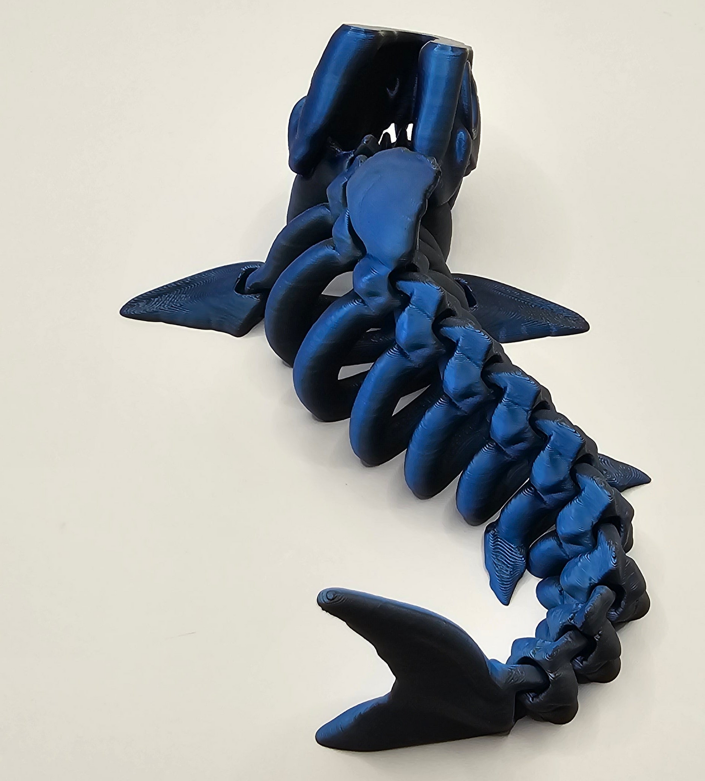Shark Skeleton - Small