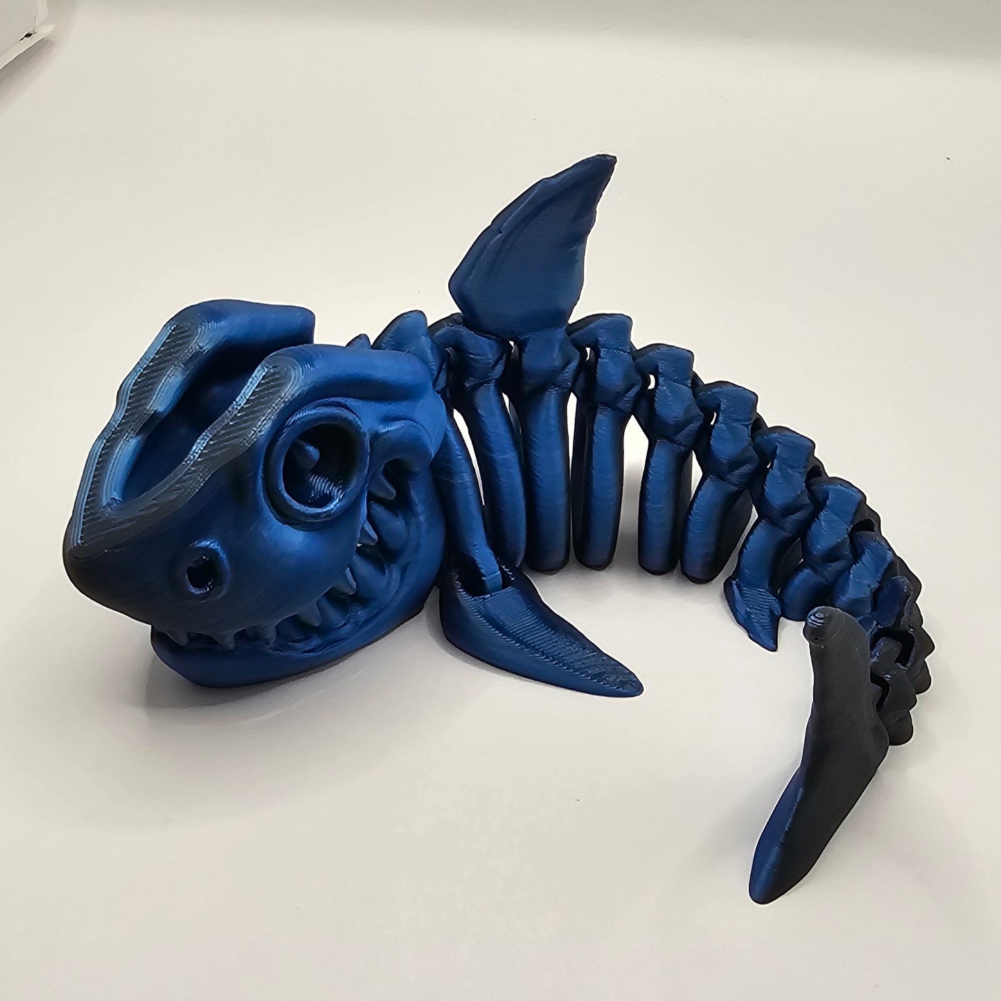 Shark Skeleton - Small