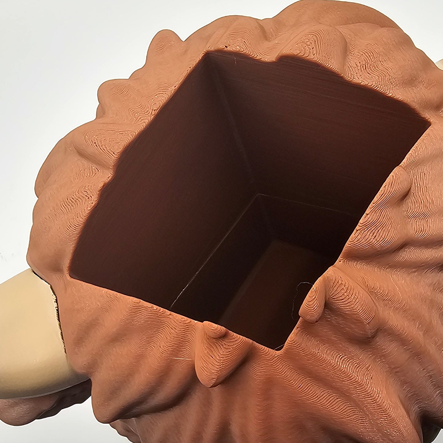 Highland Cow Soap Holder - Brown